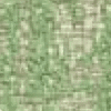 Mambo green +800,00&euro;
