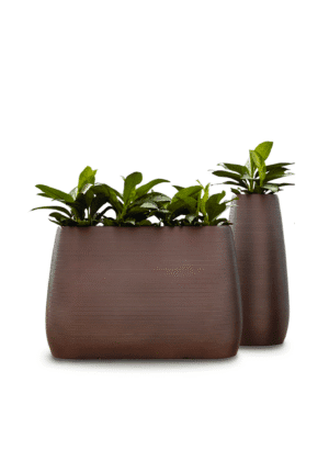 Pot de fleurs exterieur xxl Pandora