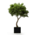 Arbre d’intérieur 2m : Créez une ambiance naturelle et élégante Arbre d'intérieur 2m Olivier feuillage artificiel ou stabilisé