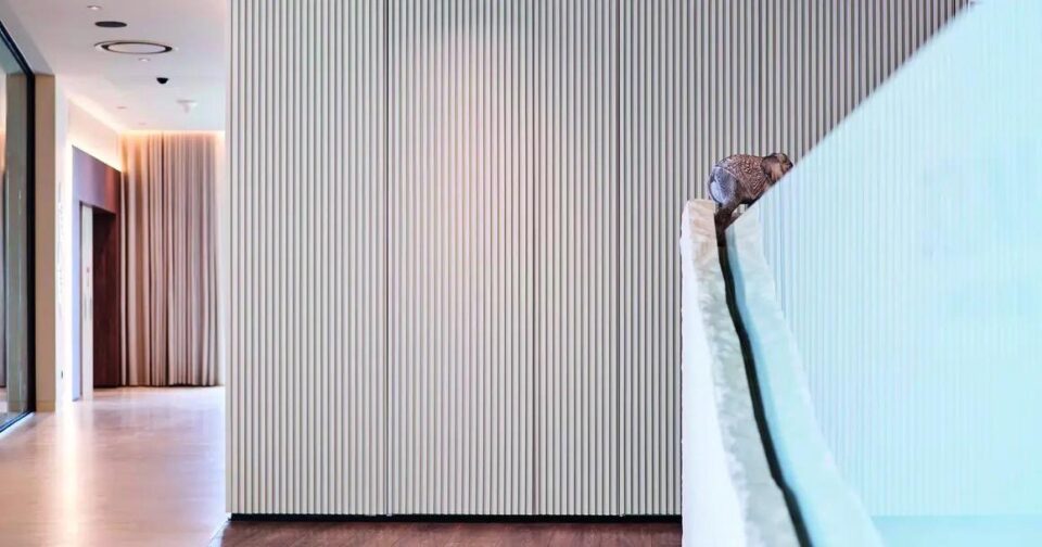 Plafond bois acoustique et aménagement sur mesure : un langage commun pour structurer vos espaces 4 mur en tasseaux de bois et porte masque Mobilier professionnel et aménagement d'espaces