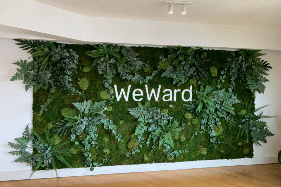 Murs végétaux en entreprise : 4 exemples pour vous inspirer 2 mur végétal en entreprise dans les locaux de weward aménagement d'espaces et open spaces